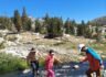8/7/2022.  JMT  다섯째 날, Tuolumne Meadows to Sunrise lake ( 10.5 mi)