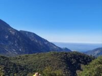 8/27/2022 West Baldy  via Bear Canyon  Trail head ( 12mi)