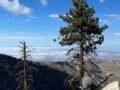 10/15/2022. Pacifico  Mountain  via Mill Creek (12 mi)