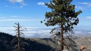 10/15/2022. Pacifico  Mountain  via Mill Creek (12 mi)