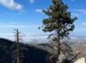 10/15/2022. Pacifico  Mountain  via Mill Creek (12 mi)