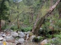 9/10/2022. Kelly Camp via Icehouse  Canyon  (10 mi)