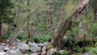 9/10/2022. Kelly Camp via Icehouse  Canyon  (10 mi)