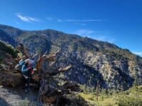 11/5/2022   Timber Mount via Ceder Glen Camp ( 9.8 mi. 3,336 ft gain)