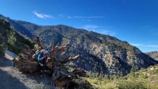 11/5/2022   Timber Mount via Ceder Glen Camp ( 9.8 mi. 3,336 ft gain)