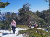 11/12/2022  Mt. Baldy via Manker Flat ( 7.8 mi,  3,900 ft gain)