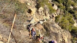 11/19/2022    Manzanita Ridge via Mt Wilson Trailhead (11mi, 3,664 ft gain)