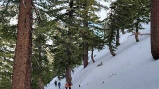 12/ 17 / 2022  Kelly Camp via Icehouse Canyon (11.6 mi,  3,097 ft gain )