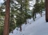 12/ 17 / 2022  Kelly Camp via Icehouse Canyon (11.6 mi,  3,097 ft gain )