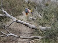 02/18 /2023  Sulphur Campground Loop  ( 11 MIi)