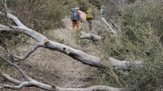 02/18 /2023  Sulphur Campground Loop  ( 11 MIi)