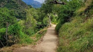 5 / 6/ 2023   Manzanita Ridge via Mt Wilson Trailhead ( 11 mi,  3,664 ft gain )