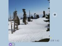 5 / 27/ 2023  Mt Baldy via Manker Flat ( 7.8 mi, 3,900 ft gain )