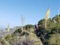 6 / 3 / 2023  Strawberry Peak via Redbox Canyon ( 7.2  mi,  2,875 ft gain)