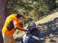 7/ 8/ 2023  Baden-Powell ( 9, 407 ft)   via Vincent Gap  (8mi,  2,765 ft gain)
