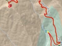 7/15/16:00~7/16/ 10:00/2023   One Night  @ Mt Baldy  (10,064 ft,  7.8 mi,  3,900 ft gain)