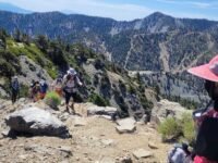 7/22/2023   Mt Baldy  via  Devils  Backbone Trail (9mi,  4,120 ft gain)