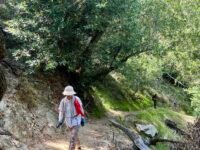 9/9/2023   Manzanita Ridge via Mt Wilson Trailhead ( 11mi, 3,664  ft gain)