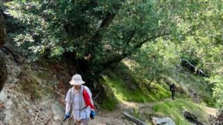 9/9/2023   Manzanita Ridge via Mt Wilson Trailhead ( 11mi, 3,664  ft gain)
