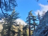 11/18/2023 Ontario Peak ( 8,696 ft) via  Icehouse Canyon ( 12.4 mi, 4,000 ft gain)