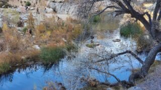 12/02/2023  Deep Creek Hot Spring  (답사)  via Bradford Ridge Path ( 5mi, 1,312 ft gain  )