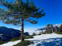12/23/2023  Timber Mount (8,860ft) via Icehouse Canyon ( 9.8 mi, 3,336 ft gain  )