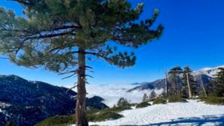 12/23/2023  Timber Mount (8,860ft) via Icehouse Canyon ( 9.8 mi, 3,336 ft gain  )