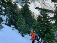 1/27/2034   Mt Baldy Peak via Manker Flat (7.8 mi,  3,900 ft  gain)
