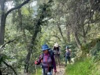 2/17/2024  Manzanita Ridge via Mt Wilson Trailhead (11mi, 3,664 ft gain)
