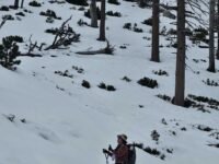 2/24/2024. Mount Islip Trail via Windy Gap Trailhead