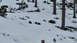 2/24/2024. Mount Islip Trail via Windy Gap Trailhead