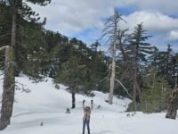 3/17/2024  Bighorn  Peak (8,860 ft) via Icehouse Canyon