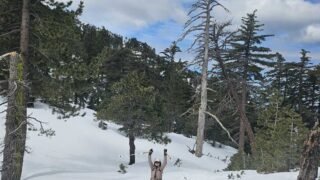 3/17/2024  Bighorn  Peak (8,860 ft) via Icehouse Canyon
