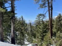 4/20/2024  Timber Mount (8,860ft) via Icehouse Canyon ( 9.8 mi, 3,336 ft gain )