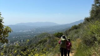 5/11/2024  Inspiration Point Interpretive Site ( 9mi, 2,839  ft gain  )