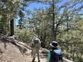 5/25/2024 Tahquitz Peak via South Ridge Trail (7.8 mi, 3,057 ft gain)