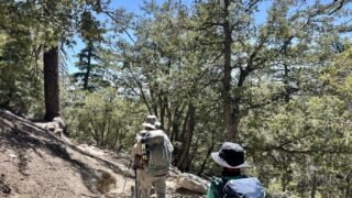 5/25/2024 Tahquitz Peak via South Ridge Trail (7.8 mi, 3,057 ft gain)