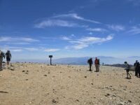 6/8/2024  Mt Baldy via Manker Flat ( 7.8 mi,  3,900 ft gain)