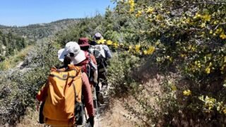 6/15/2024  Pacifico Mount via Sulphur Springs Camp (11.2 mi,  1,942 ft gain)