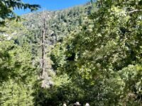 6/22/2024   Ontario Peak(8,862ft) via Icehouse Canyon (12.2 mi, 3,884 ft gain)