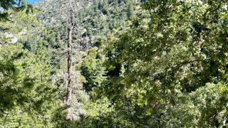 6/22/2024   Ontario Peak(8,862ft) via Icehouse Canyon (12.2 mi, 3,884 ft gain)