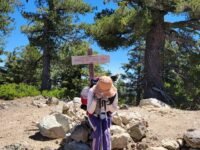 6/29/2024 Timber Mount via Cedar Glen Camp ( 9.8mi, 3,336 ft gain)