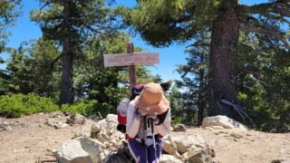 6/29/2024 Timber Mount via Cedar Glen Camp ( 9.8mi, 3,336 ft gain)