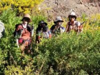 8/31/2024   Waterman Mount Loop Trail (5.8   mi,  1,335 ft gain)