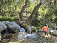 10/19/2024  Timber Mount via Icehouse Canyon  (9.8 mi, 3,336 ft gain)