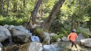 10/19/2024  Timber Mount via Icehouse Canyon  (9.8 mi, 3,336 ft gain)