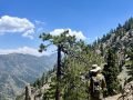 8/10/2024   Mt Baden Powell ( 7.8 mi,  2,775 ft gain)