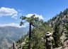 8/10/2024   Mt Baden Powell ( 7.8 mi,  2,775 ft gain)