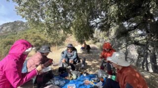 12/14/2024  Manzanita Ridge via Mt Wilson Trailhead ( 10.4 mi,  3,464 ft gain  )