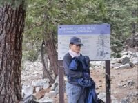 12/28/2024  Timber Mount via Icehouse Canyon Trailhead  ( 9.8 mi,  3,336 ft gain)